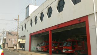 IMAG0313_1.jpg